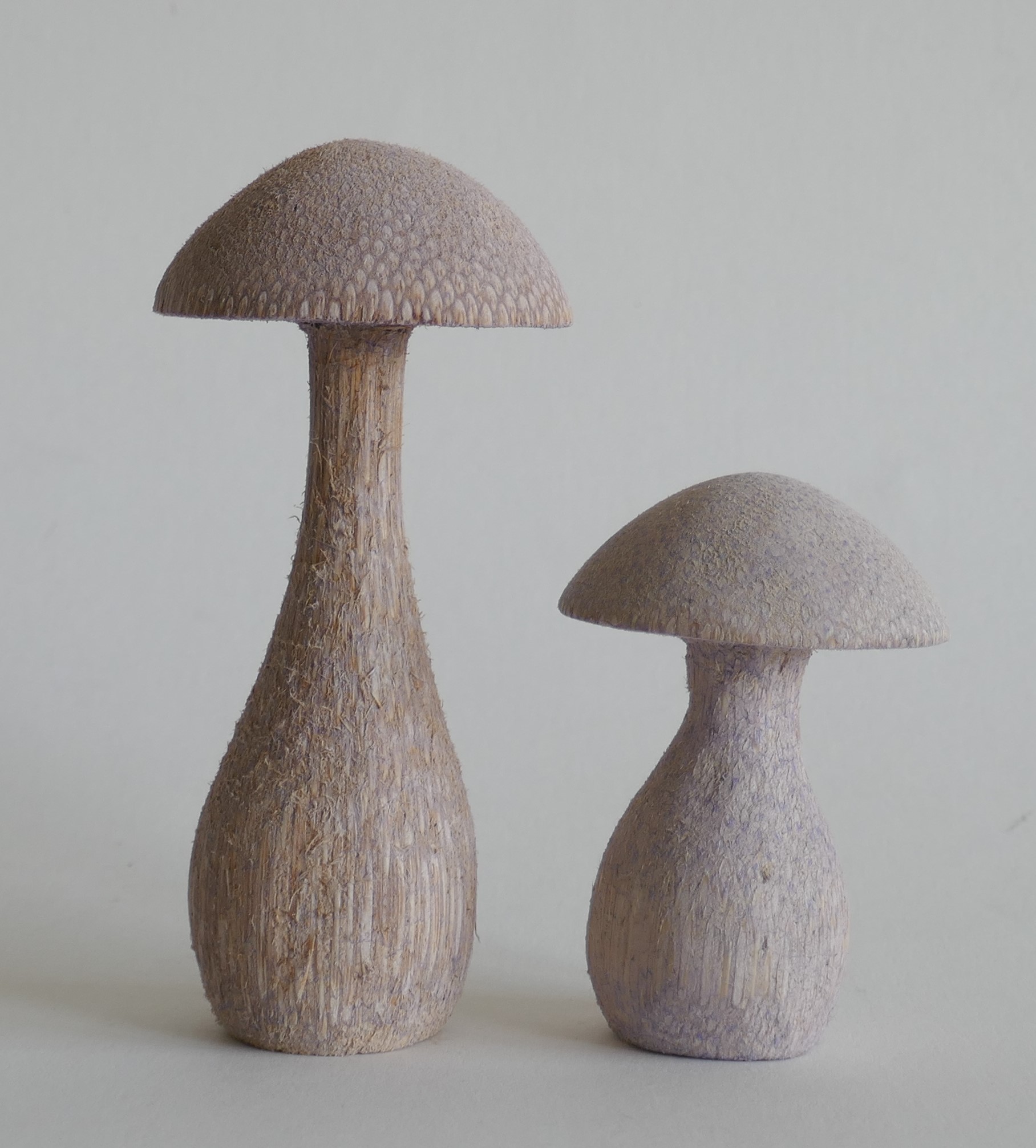Pilze violet