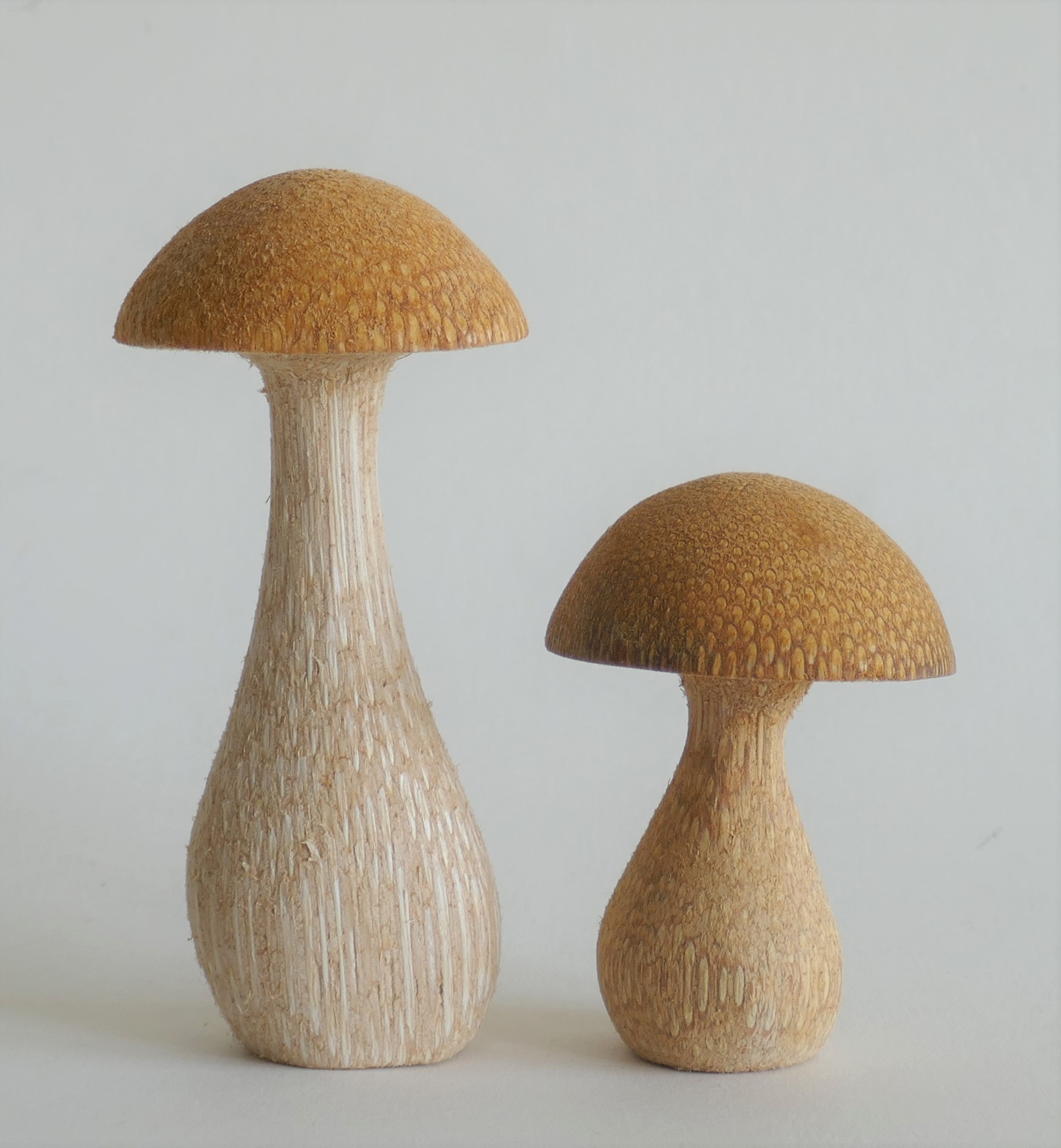 Pilze-gelb